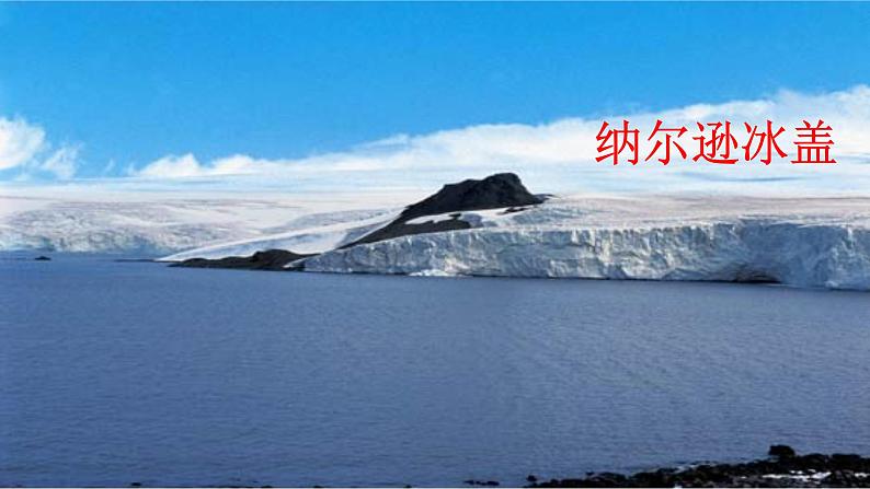 初中语文人教版（部编）七年级下册21伟大的悲剧 课件第2页