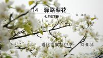 人教部编版七年级下册第四单元15 驿路梨花备课ppt课件
