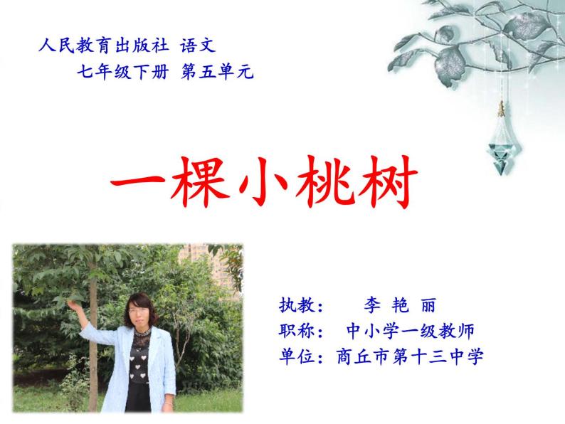 初中语文人教版（部编）七年级下册18一棵小桃树3 课件01