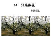 2021学年15 驿路梨花教案配套课件ppt