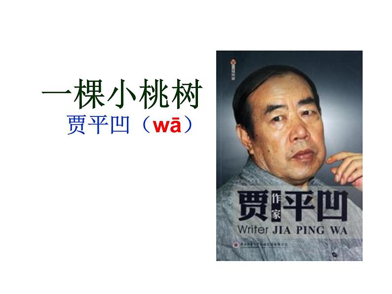 初中语文人教版（部编）七年级下册18一棵小桃树4 课件第5页