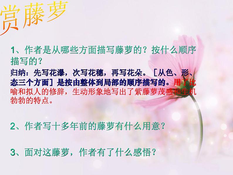 初中语文人教版（部编）七年级下册17紫藤萝瀑布 课件08