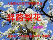 人教部编版七年级下册15 驿路梨花备课ppt课件