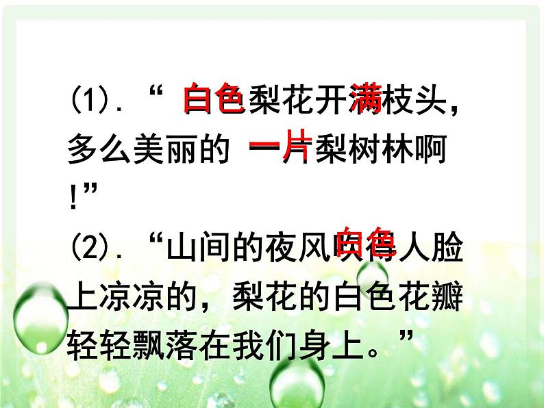 初中语文人教版（部编）七年级下册14驿路梨花3 课件第8页