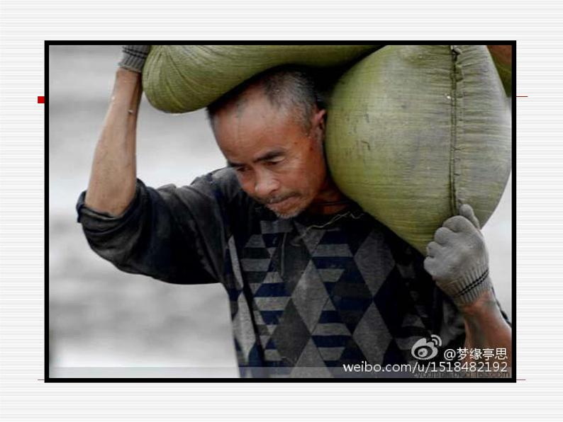 初中语文人教版（部编）七年级下册15最苦与最乐 课件第2页