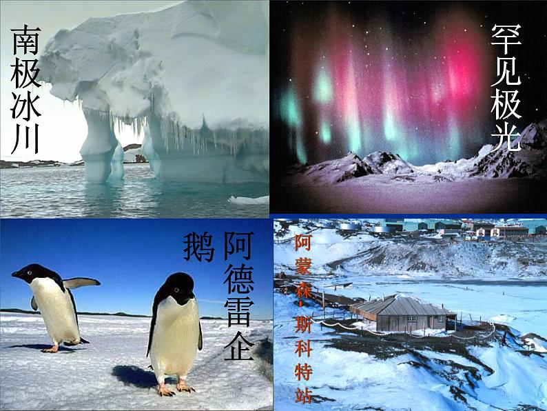 初中语文人教版（部编）七年级下册21伟大的悲剧3 课件第1页