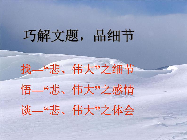 初中语文人教版（部编）七年级下册21伟大的悲剧3 课件第6页