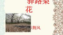 语文七年级下册15 驿路梨花多媒体教学ppt课件