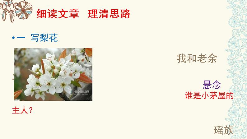 初中语文人教版（部编）七年级下册14驿路梨花 课件第5页
