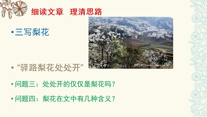 初中语文人教版（部编）七年级下册14驿路梨花 课件第7页