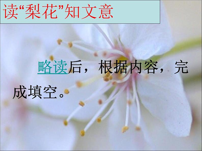 初中语文人教版（部编）七年级下册14驿路梨花2 课件第3页