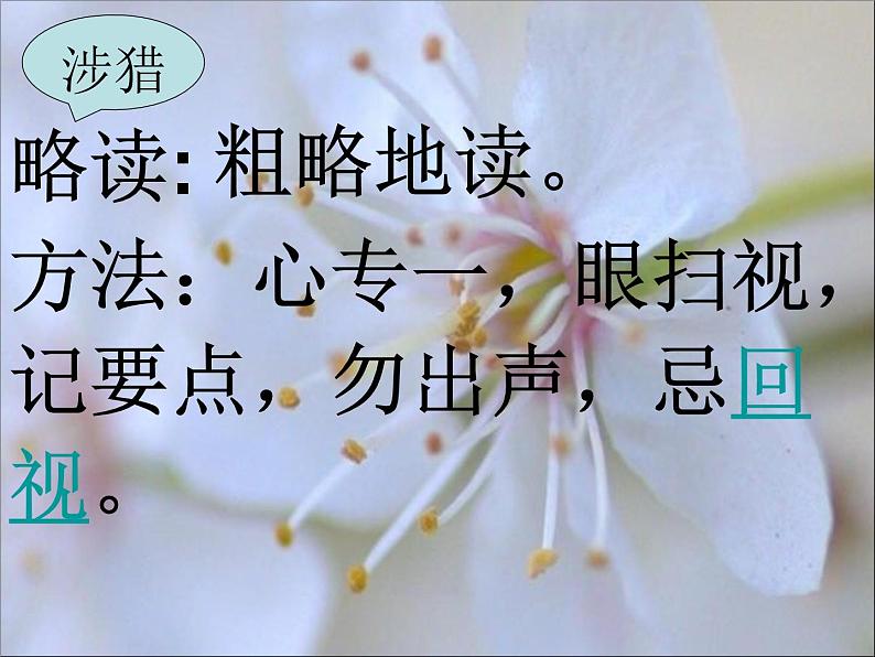 初中语文人教版（部编）七年级下册14驿路梨花2 课件第4页