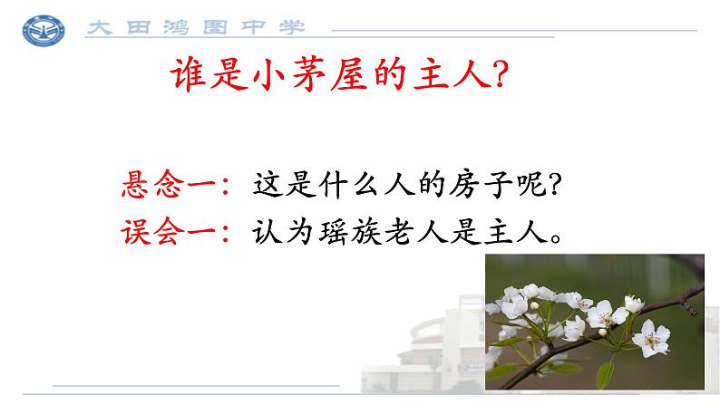 初中语文人教版（部编）七年级下册14驿路梨花1 课件第3页