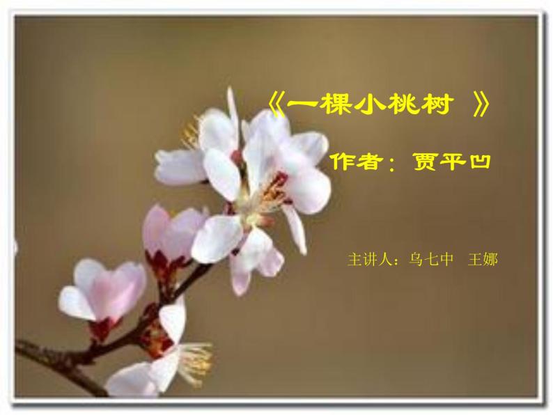 初中语文人教版（部编）七年级下册18一棵小桃树5 课件01