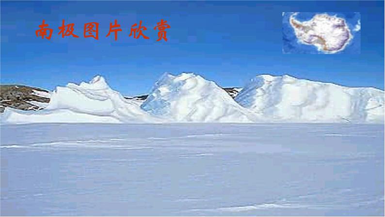 初中语文人教版（部编）七年级下册21伟大的悲剧4 课件第1页