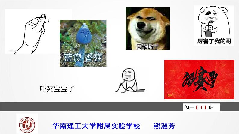 初中语文人教版（部编）七年级下册学习抒情 课件03