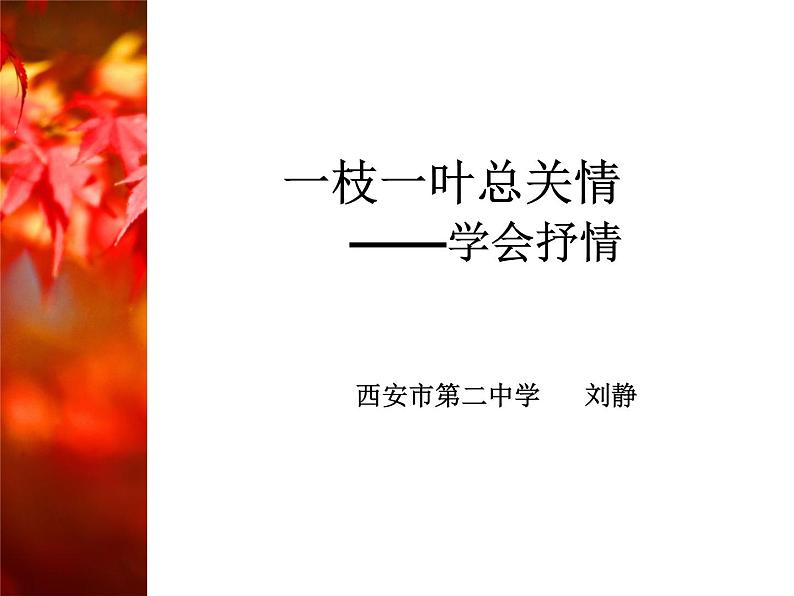 初中语文人教版（部编）七年级下册学习抒情 课件02