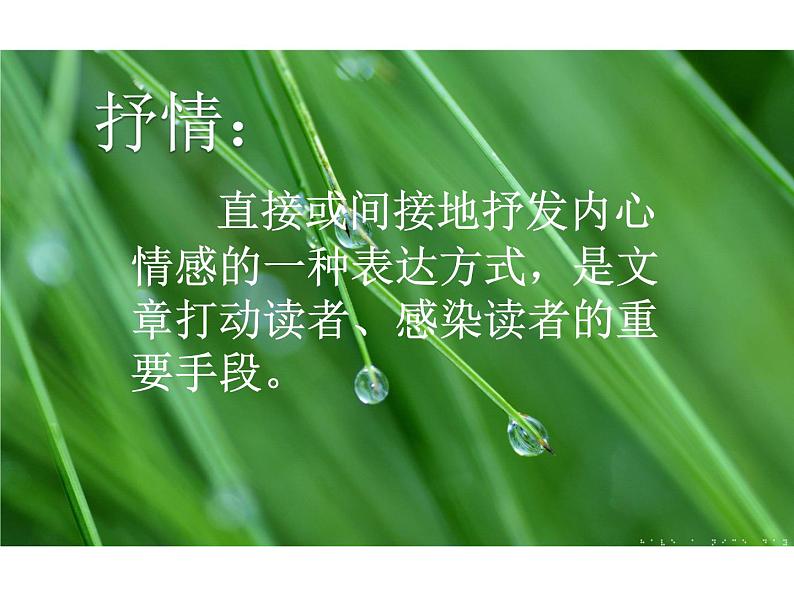 初中语文人教版（部编）七年级下册学习抒情 课件03