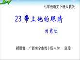 初中语文人教版（部编）七年级下册23带上她的眼睛4 课件