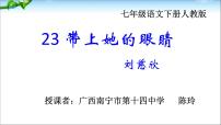 人教部编版七年级下册带上她的眼睛图文课件ppt