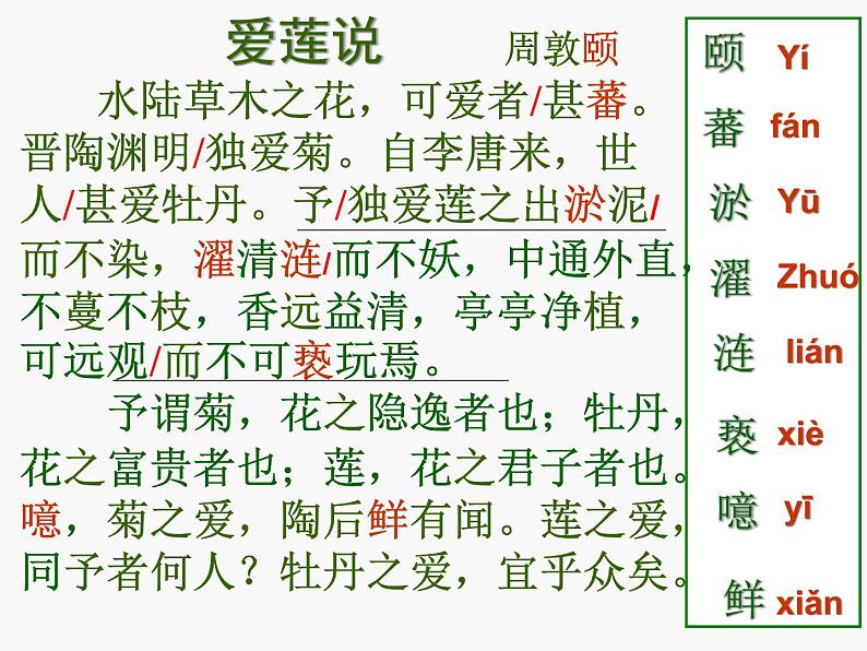 初中语文人教版（部编）七年级下册爱莲说4 课件第5页