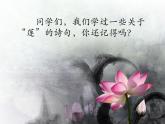 初中语文人教版（部编）七年级下册爱莲说2 课件