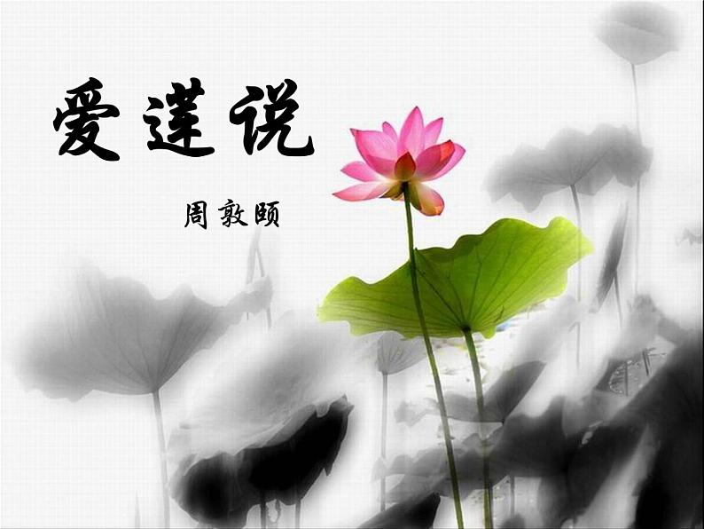 初中语文人教版（部编）七年级下册爱莲说2 课件第2页