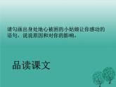 初中语文人教版（部编）七年级下册23带上她的眼睛2 课件