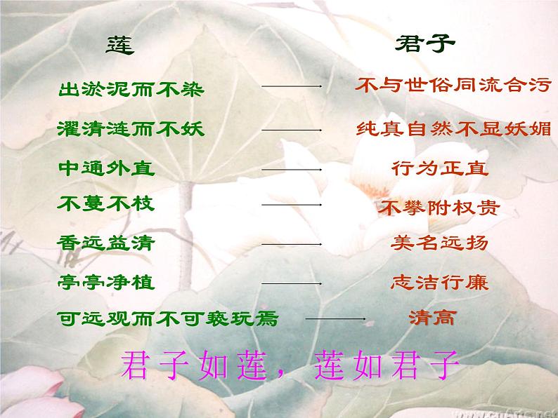 初中语文人教版（部编）七年级下册爱莲说1 课件第5页