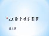 初中语文人教版（部编）七年级下册23带上她的眼睛3 课件