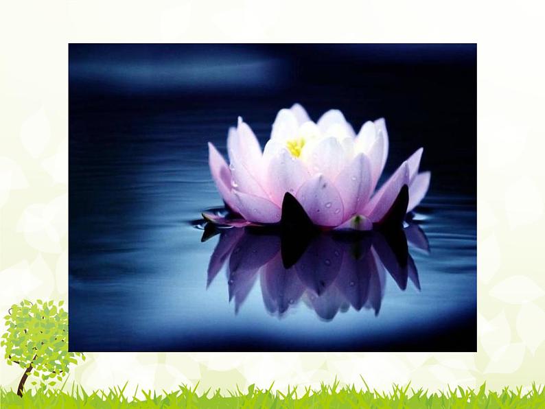 初中语文人教版（部编）七年级下册爱莲说6 课件第2页