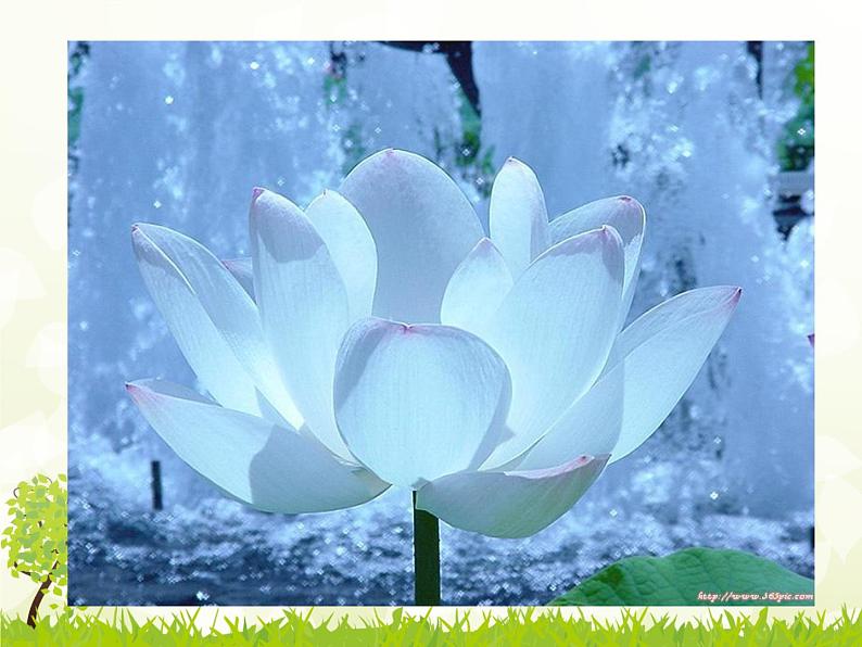 初中语文人教版（部编）七年级下册爱莲说6 课件第4页