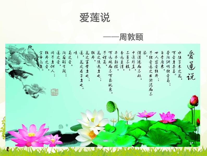 初中语文人教版（部编）七年级下册爱莲说6 课件第8页