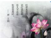 初中语文人教版（部编）七年级下册爱莲说2 课件