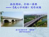 初中语文人教版（部编）七年级下册怎样选材1 课件