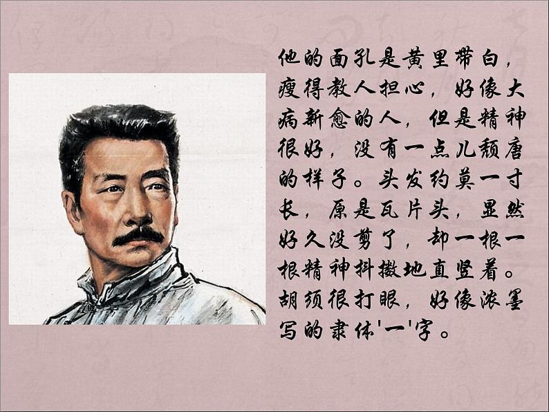 初中语文人教版（部编）七年级下册抓住细节 课件第3页