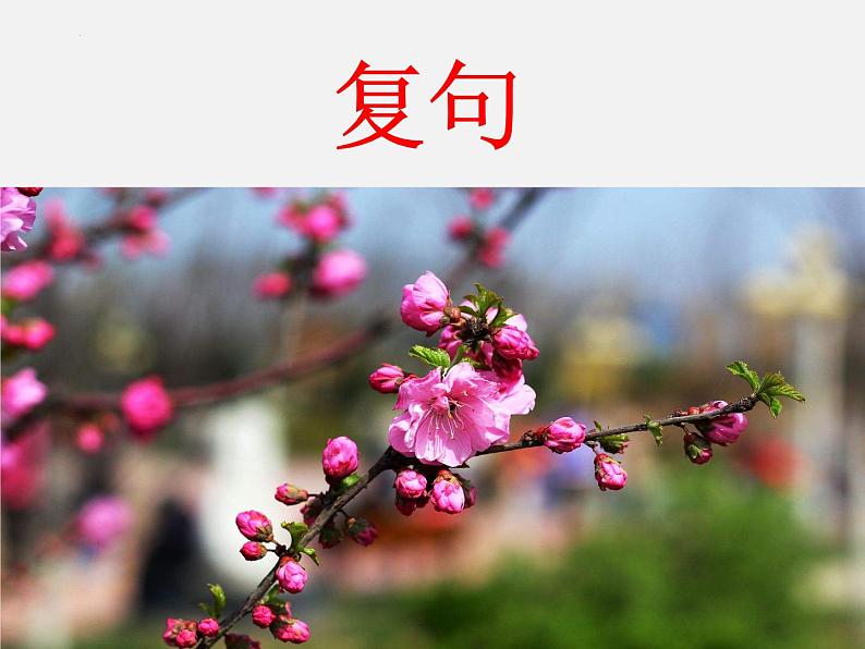 《复句》课件2022年中考语文二轮复习第1页
