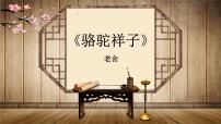 人教部编版七年级下册名著导读《骆驼祥子》：圈点与批注课堂教学课件ppt