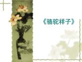 初中语文人教版（部编）七年级下册《骆驼祥子》：圈点与批注2 课件