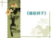 人教部编版七年级下册第三单元名著导读《骆驼祥子》：圈点与批注教学演示课件ppt