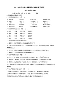 广东省深圳市龙岗区2021-2022学年九年级下学期期中教学检测语文试题（有答案）