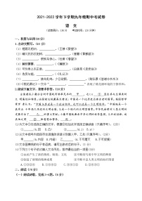 福建省莆田市2021—2022学年九年级下学期期中考试语文卷（有答案）
