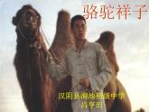 初中语文人教版（部编）七年级下册《骆驼祥子》：圈点与批注4 课件