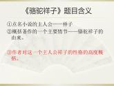 初中语文人教版（部编）七年级下册《骆驼祥子》：圈点与批注4 课件