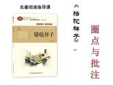 初中语文人教版（部编）七年级下册《骆驼祥子》：圈点与批注1 课件