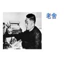 初中语文人教版（部编）七年级下册《骆驼祥子》：圈点与批注1 课件