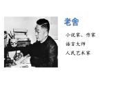 初中语文人教版（部编）七年级下册《骆驼祥子》：圈点与批注1 课件