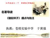 初中语文人教版（部编）七年级下册《骆驼祥子》：圈点与批注3 课件