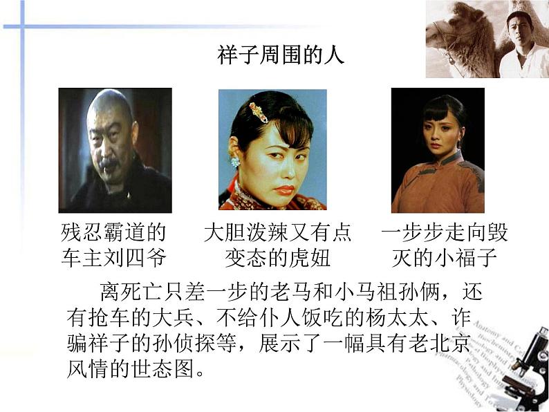 初中语文人教版（部编）七年级下册《骆驼祥子》：圈点与批注5 课件第5页