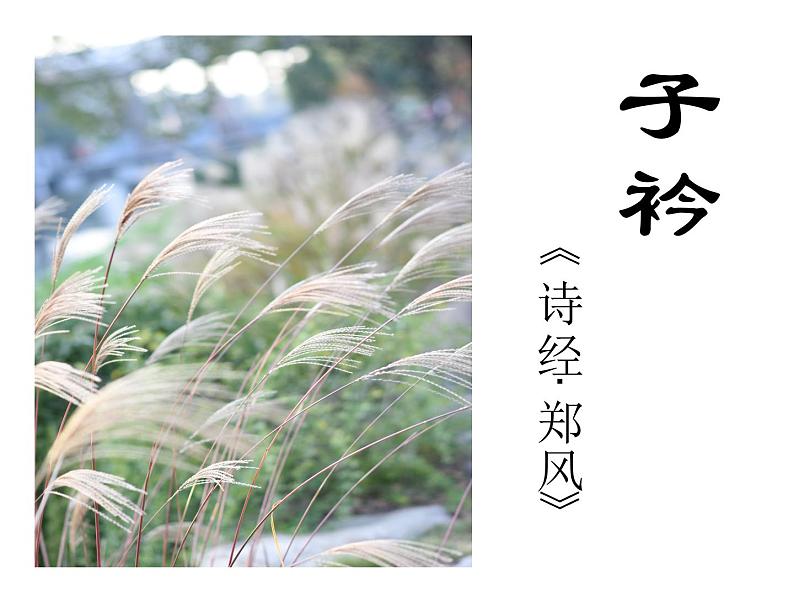 初中语文人教版（部编）八年级下册子衿 课件01